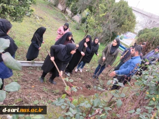 مراسم درختکاری با شعار«هردانشجو یک درخت»