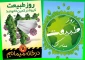 ۱۳ بدر در خانه، نمایش فرهنگ اصیل ایرانی، احترام به حقوق دیگران وتشکر از کادر درمان است.